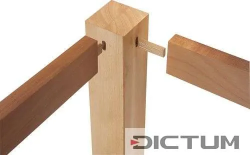 Festool Tacos DOMINO de haya D 14x100/80 BU